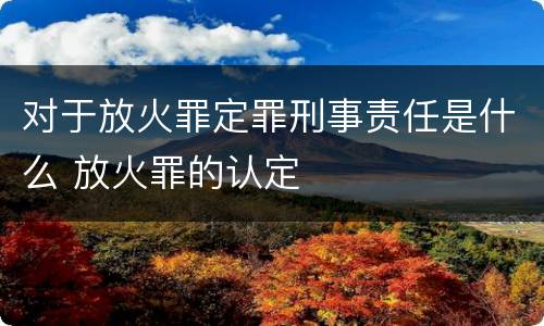 对于放火罪定罪刑事责任是什么 放火罪的认定