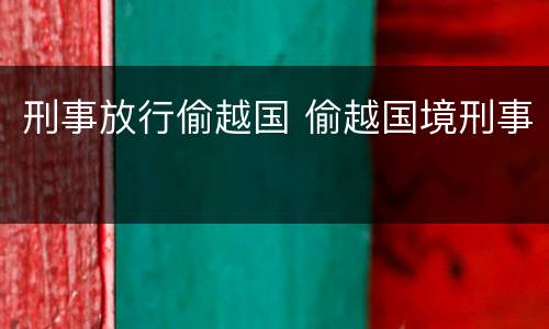 刑事放行偷越国 偷越国境刑事