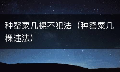 种罂粟几棵不犯法（种罂粟几棵违法）