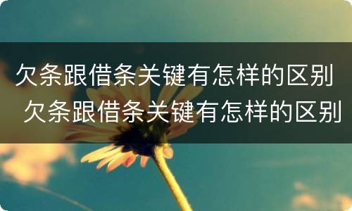 欠条跟借条关键有怎样的区别 欠条跟借条关键有怎样的区别呢