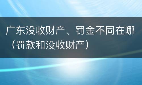 广东没收财产、罚金不同在哪（罚款和没收财产）