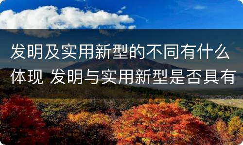发明及实用新型的不同有什么体现 发明与实用新型是否具有实用性