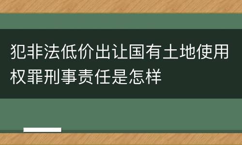 犯非法低价出让国有土地使用权罪刑事责任是怎样
