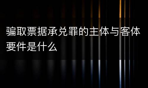 骗取票据承兑罪的主体与客体要件是什么