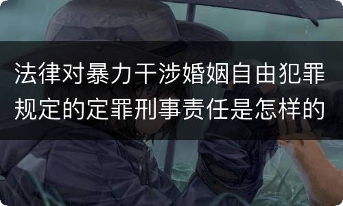 法律对暴力干涉婚姻自由犯罪规定的定罪刑事责任是怎样的