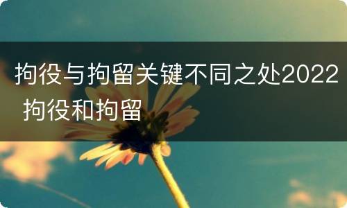 拘役与拘留关键不同之处2022 拘役和拘留
