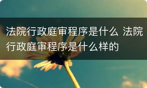 法院行政庭审程序是什么 法院行政庭审程序是什么样的