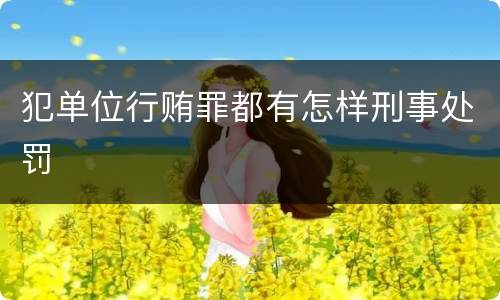 犯单位行贿罪都有怎样刑事处罚