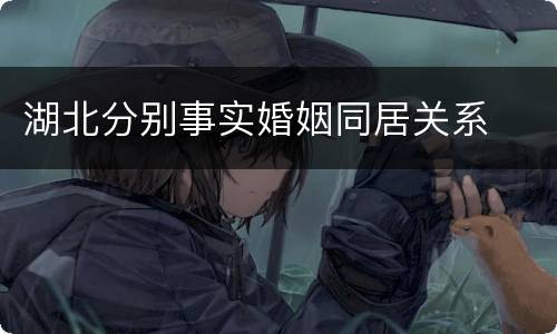 湖北分别事实婚姻同居关系