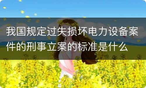 我国规定过失损坏电力设备案件的刑事立案的标准是什么