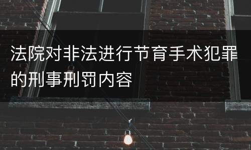 法院对非法进行节育手术犯罪的刑事刑罚内容