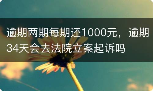 逾期两期每期还1000元，逾期34天会去法院立案起诉吗