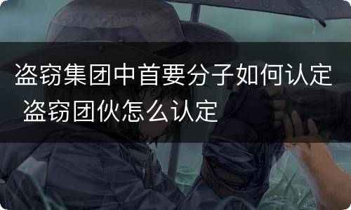 盗窃集团中首要分子如何认定 盗窃团伙怎么认定