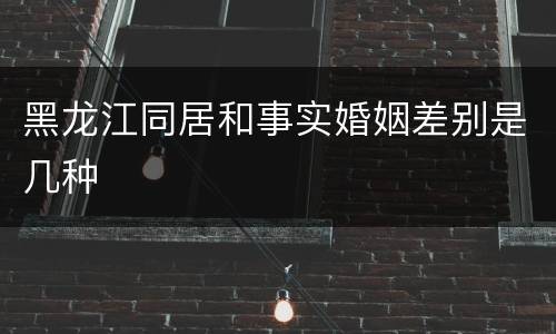 黑龙江同居和事实婚姻差别是几种