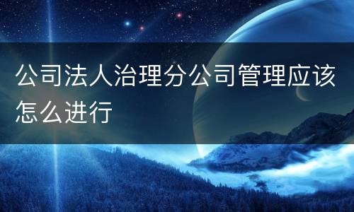 公司法人治理分公司管理应该怎么进行