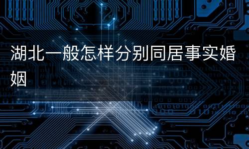 湖北一般怎样分别同居事实婚姻