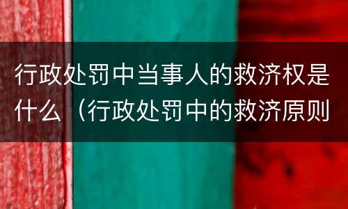 行政处罚中当事人的救济权是什么（行政处罚中的救济原则）
