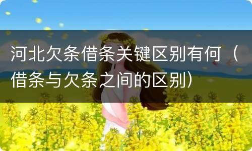 河北欠条借条关键区别有何（借条与欠条之间的区别）