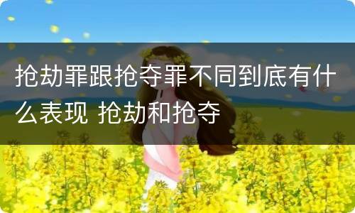 抢劫罪跟抢夺罪不同到底有什么表现 抢劫和抢夺