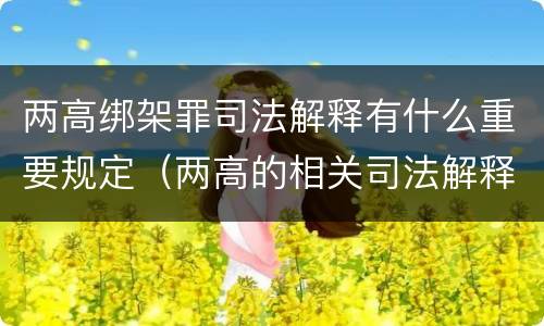 两高绑架罪司法解释有什么重要规定（两高的相关司法解释）