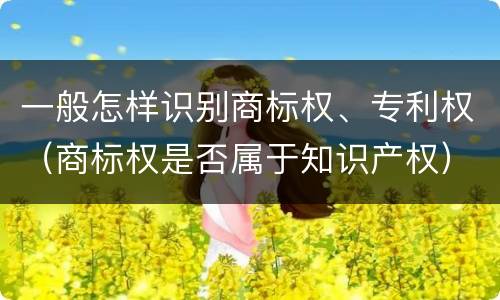 一般怎样识别商标权、专利权（商标权是否属于知识产权）