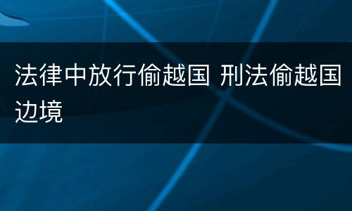 法律中放行偷越国 刑法偷越国边境
