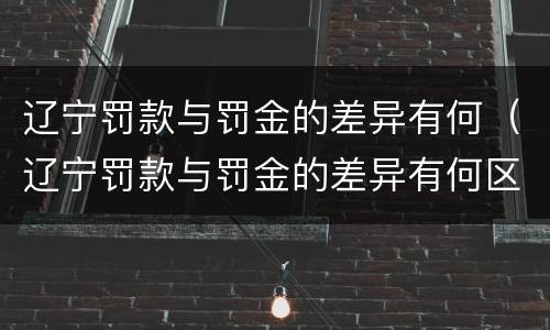 辽宁罚款与罚金的差异有何（辽宁罚款与罚金的差异有何区别）
