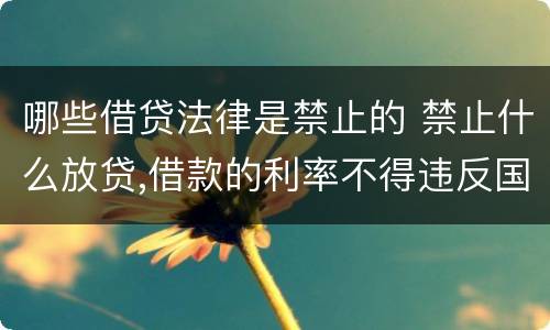 哪些借贷法律是禁止的 禁止什么放贷,借款的利率不得违反国家
