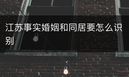 江苏事实婚姻和同居要怎么识别