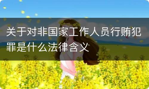 关于对非国家工作人员行贿犯罪是什么法律含义