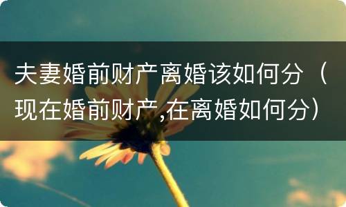 夫妻婚前财产离婚该如何分（现在婚前财产,在离婚如何分）