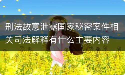 刑法故意泄露国家秘密案件相关司法解释有什么主要内容