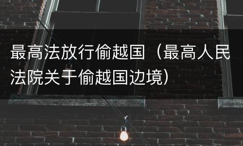 最高法放行偷越国（最高人民法院关于偷越国边境）