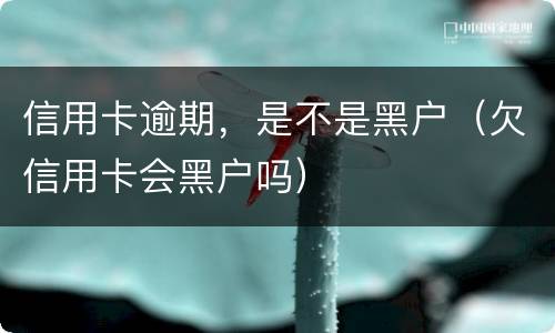 信用卡逾期，是不是黑户（欠信用卡会黑户吗）