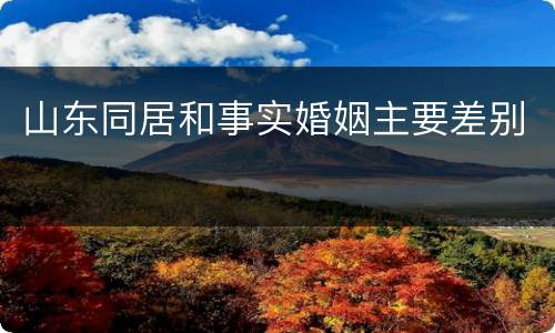 山东同居和事实婚姻主要差别