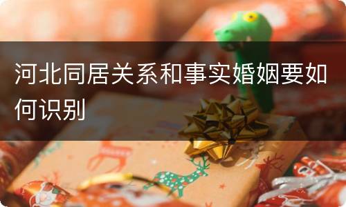 河北同居关系和事实婚姻要如何识别