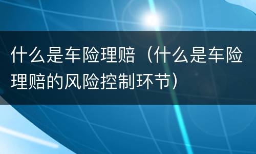 什么是车险理赔（什么是车险理赔的风险控制环节）