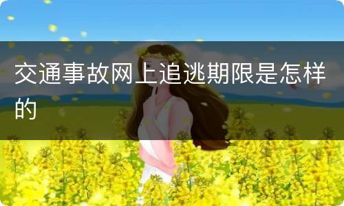 交通事故网上追逃期限是怎样的