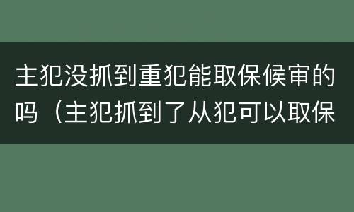 主犯没抓到重犯能取保候审的吗（主犯抓到了从犯可以取保吗）