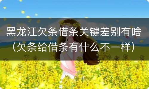 黑龙江欠条借条关键差别有啥（欠条给借条有什么不一样）