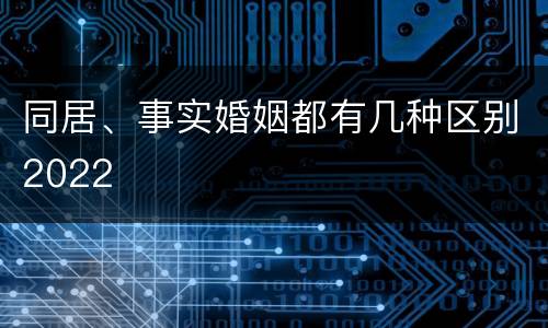 同居、事实婚姻都有几种区别2022