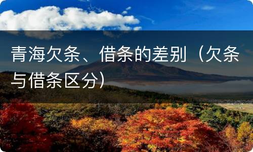 青海欠条、借条的差别（欠条与借条区分）