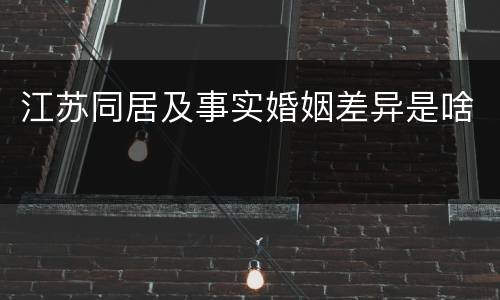 江苏同居及事实婚姻差异是啥