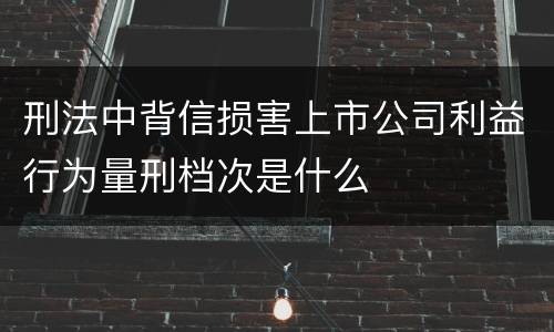 刑法中背信损害上市公司利益行为量刑档次是什么