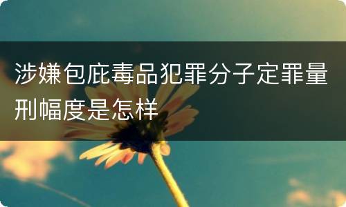 涉嫌包庇毒品犯罪分子定罪量刑幅度是怎样