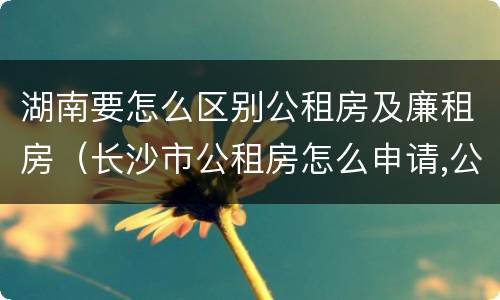 湖南要怎么区别公租房及廉租房（长沙市公租房怎么申请,公租房和廉租房的区别在哪里?）