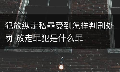 犯放纵走私罪受到怎样判刑处罚 放走罪犯是什么罪