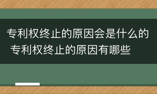 专利权终止的原因会是什么的 专利权终止的原因有哪些
