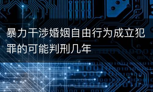 暴力干涉婚姻自由行为成立犯罪的可能判刑几年