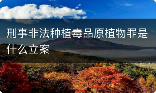 刑事非法种植毒品原植物罪是什么立案